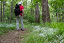 Appalachian Trail Hiker - Shenandoah National Park