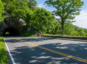 Shenandoah Entrance Passes