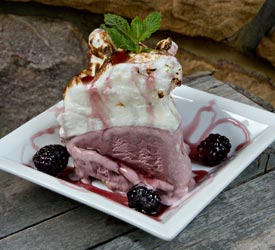 Signature Blackberry Ice Cream Pie - Shenandoah National Park