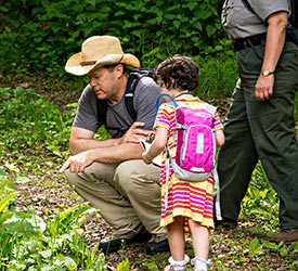 Kids Activities - Shenandoah National Park