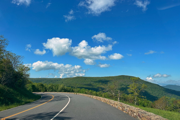 A summer roadway in Shenandoah National Park