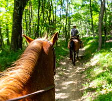 Horseback riding tours in Shenandoah National Park