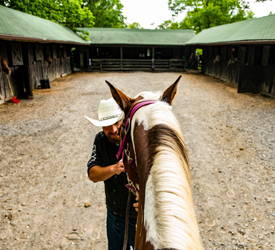 Horseback riding in Shenandoah National Park