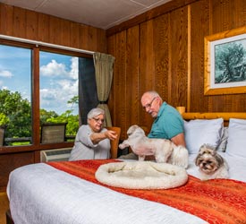 Pet Friendly Room at Big Meadows Lodge in Shenandoah National Park