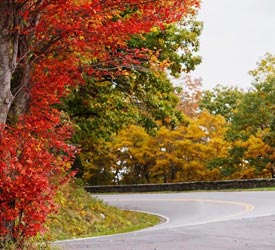 Skyline Drive Fall - Shenandoah National Park