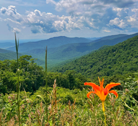 A beautiful vista near Skyline Drive in Shenandoah National Park