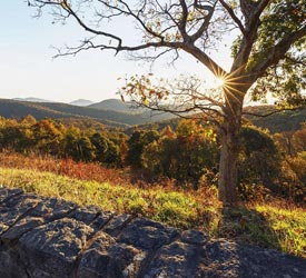 Thorton Hollow Overlook Sunrise - Shenandoah National Park