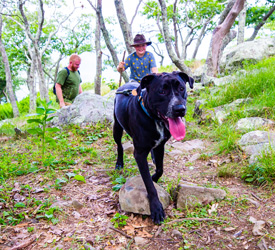 Two hikers and their dog on the trails at Shenandoah National Park