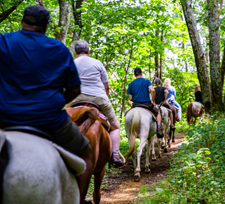 Horseback riding tours in Shenandoah National Park