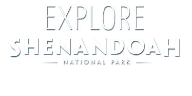 Explore Shenandoah National Park