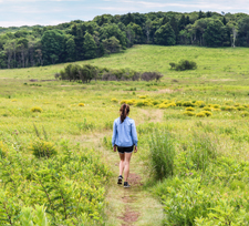 Hiking in Big Meadows at Shenandoah National Park