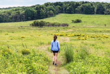 Hiking in Big Meadows at Shenandoah National Park